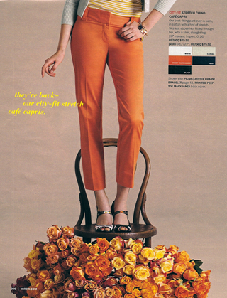 Illustration for article titled J. Jill Vs. J. Crew: It's A Fashion Showcase Showdown
